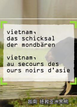 越南拯救亚洲黑熊剧照