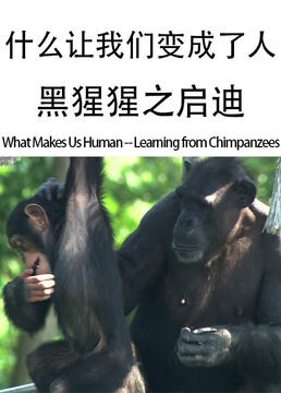 什么让我们变成了人黑猩猩之启迪剧照
