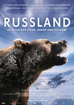 俄罗斯——在老虎,熊和火山之间剧照