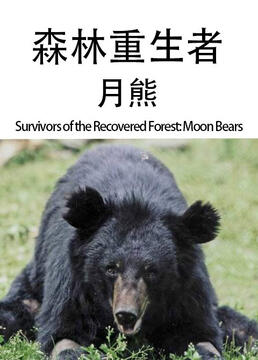 森林重生者月熊剧照