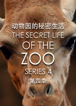 动物园的秘密生活第四季剧照