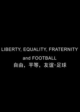 自由平等友谊足球剧照