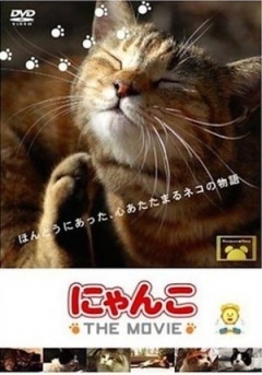 猫咪物语剧照