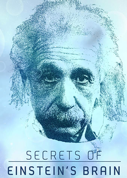 爱因斯坦大脑的秘密剧照