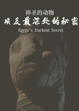 神圣的动物埃及最深处的秘密剧照
