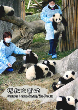 拯救大熊猫剧照