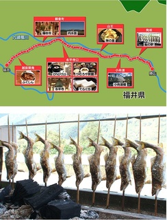 寻访地方线 随意下车之旅 - 福井越前铁道 大平山 永平寺和白山的美景剧照