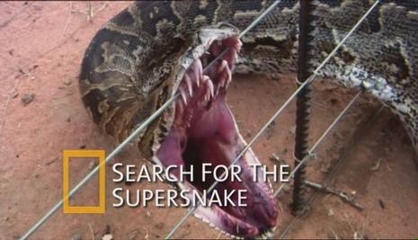 国家地理杂志:超级大蛇