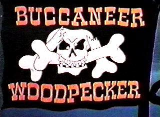 Buccaneer Woodpecker