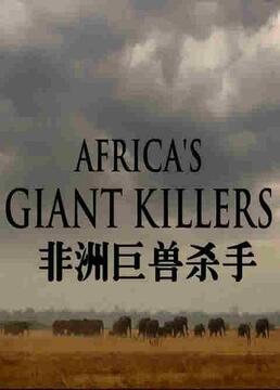 bbc自然世界非洲巨兽杀手第三十三季