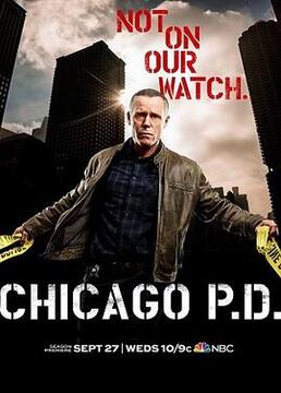 芝加哥警署 第五季剧照