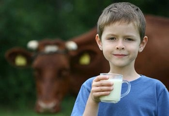 儿童喝牛奶的好处有哪些 喝牛奶的好处有哪些