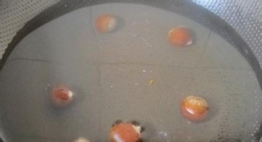 小米南瓜板栗粥的功效 小米南瓜板栗粥的做法