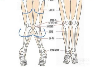 x型腿怎么矫正啊 x型腿怎么矫正？
