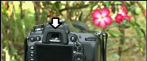 如何用尼康D7000单反相机即时取景拍照