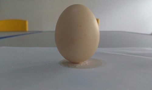 如何让生鸡蛋立起来不借助外力 如何让生鸡蛋立起来