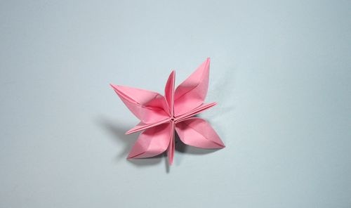 手工折纸花朵简单好看步骤图解 简单的手工折纸花花朵折纸步骤图解