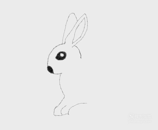 如何画小白兔简笔画步骤 怎么画小白兔简笔画步骤图