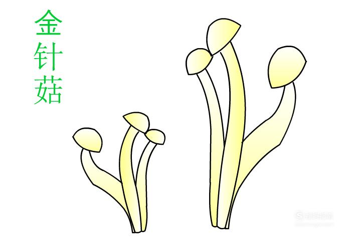 简笔画如何使用flash绘制金针菇优质