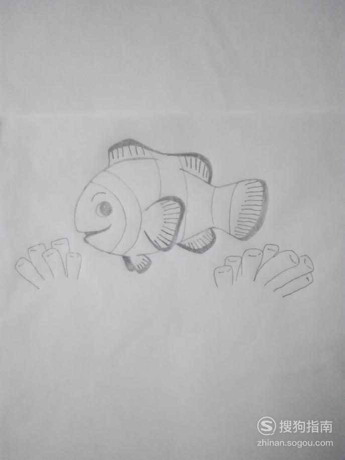简笔画小丑鱼的画法步骤 简笔画小丑鱼的画法优质