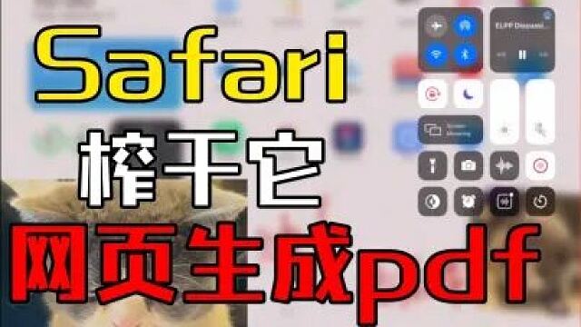 ブランドのギフト ♥safari様♥ アルバム - www.tin.fateta.ipb.ac.id