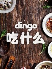 dingo吃什么