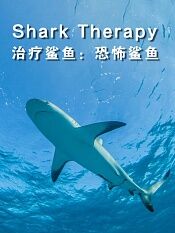 治疗鲨鱼恐怖鲨鱼