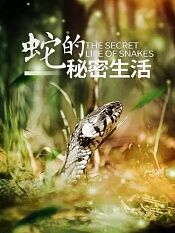 蛇的秘密生活