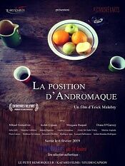 lapositiond'andromaque