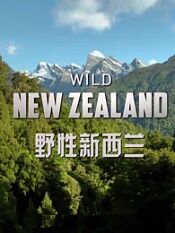 bbc野性新西兰
