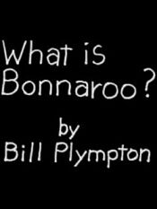 What Is Bonnaroo?