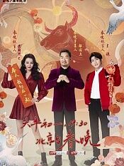 2021年北京卫视春节联欢晚会