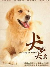 犬心犬意