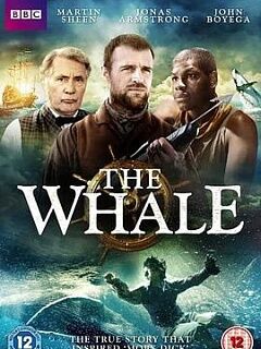 鲸的复仇