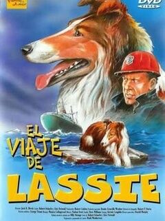 Lassie Well Of Love