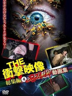 the衝撃映像総集編4とことん狂気動画集
