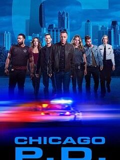 芝加哥警署第七季